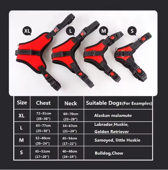 Adjustable Dog Harness alt
best dog harness
best harness dogs