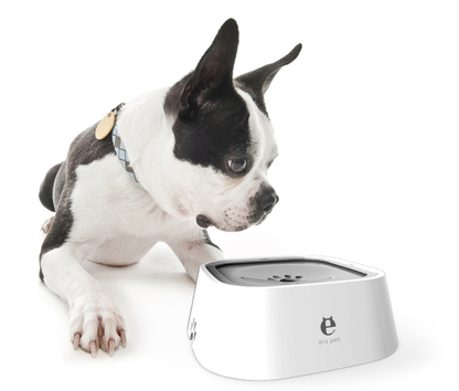 water bowl for dogs no spilling

no-spill water bowl for dog

no spill water bowl dog

dog water bowl no spill