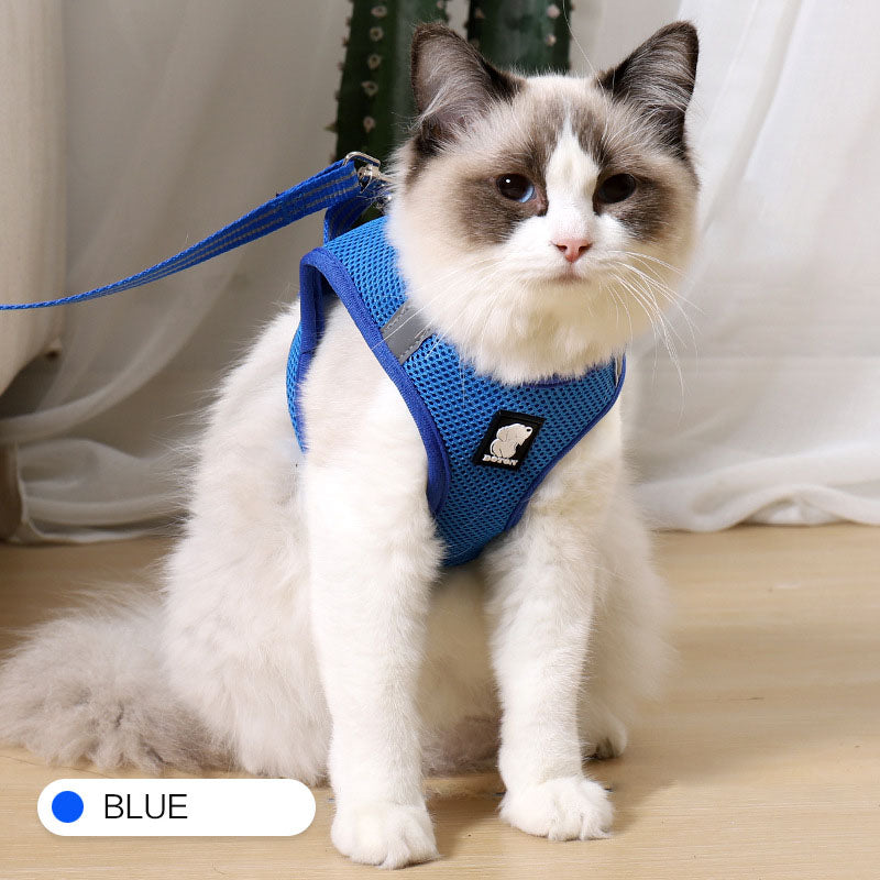 cat seatbelt