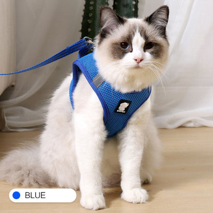 cat seatbelt