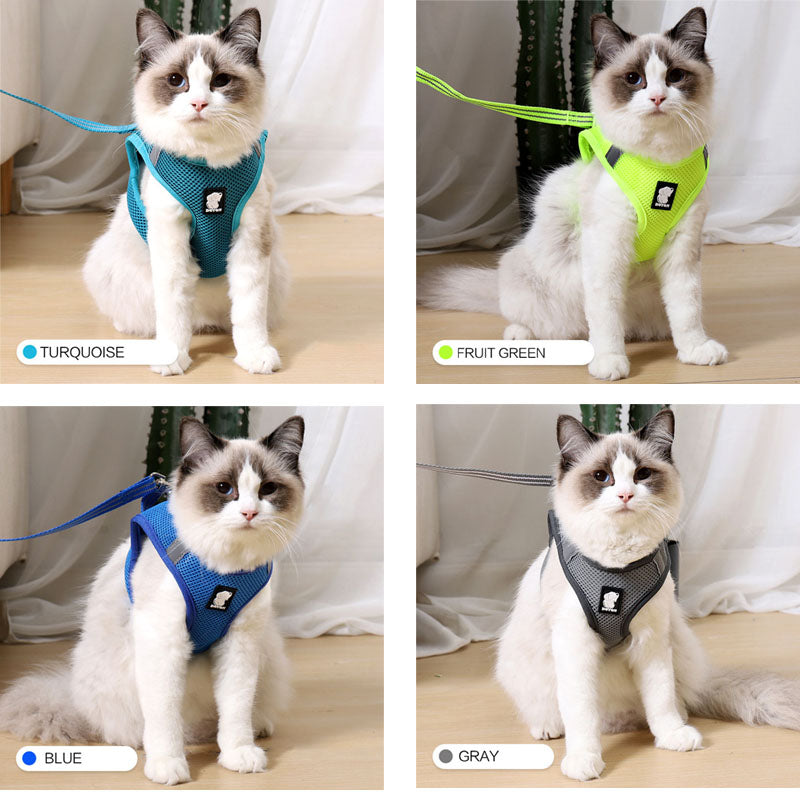 cat seatbelt