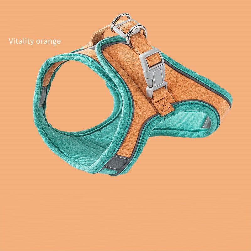 Adjustable Cat Harness Set
kitten harness and leash
dogs bed
cat leash with harness
cat leash and harness
cat harness