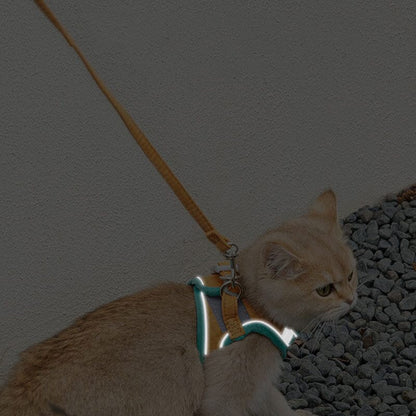 Adjustable Cat Harness Set
kitten harness and leash
dogs bed
cat leash with harness
cat leash and harness
cat harness