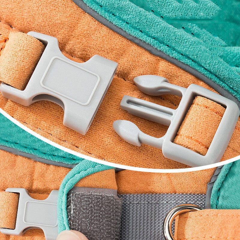 Adjustable Cat Harness Set
kitten harness and leash
dogs bed
cat leash with harness
cat leash and harness
cat harness