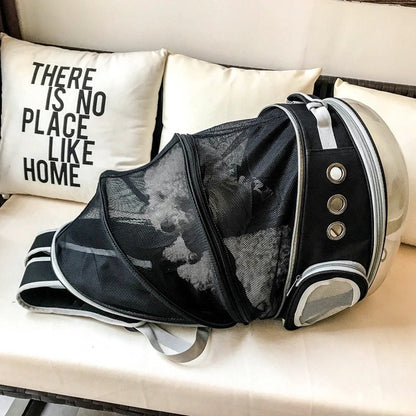 clear backpack for pets, clear pet carrier, clear rolling cat carrier, clear pet backpack, clear cat carrier