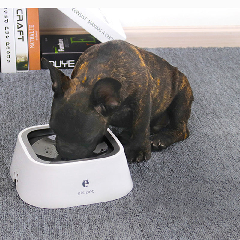 water bowl for dogs no spilling

no-spill water bowl for dog

no spill water bowl dog

dog water bowl no spill