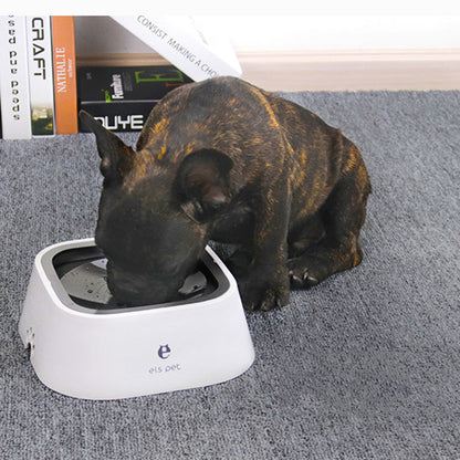 water bowl for dogs no spilling

no-spill water bowl for dog

no spill water bowl dog

dog water bowl no spill