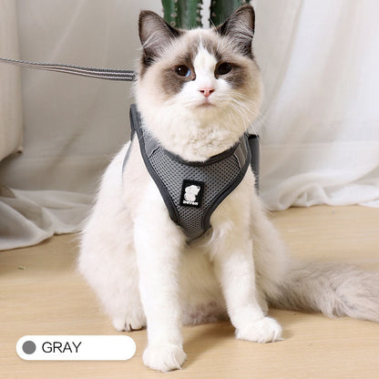 cat seatbelt