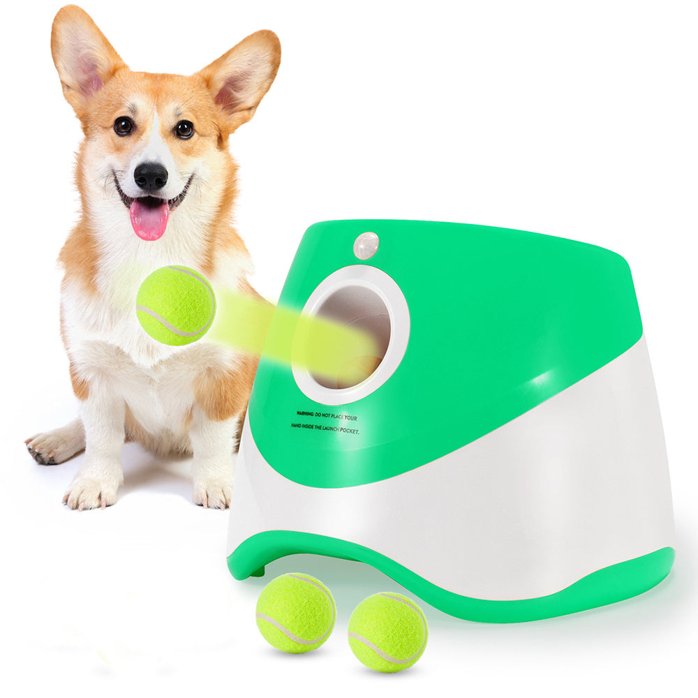 double bowl for dog

double dog bowl

dog bowl double