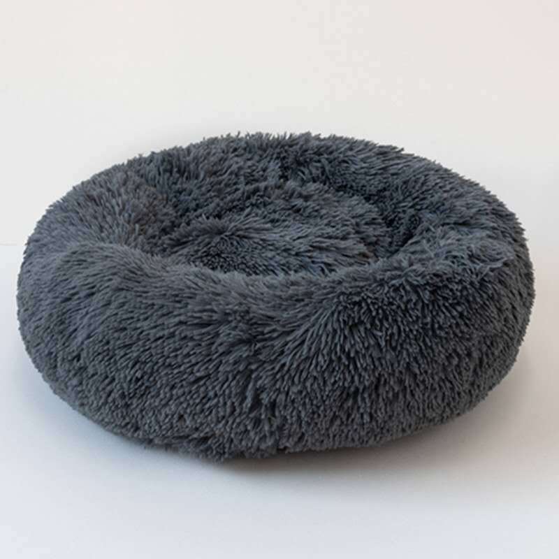 dog for dog bed, dogs bed, dog bed, 	
bed dogs