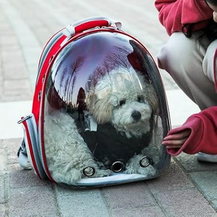 clear backpack for pets, clear pet carrier, clear rolling cat carrier, clear pet backpack, clear cat carrier