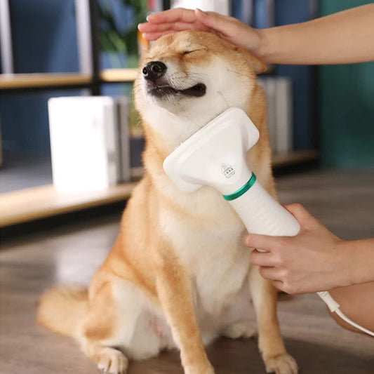 dog blow dryer

dog hair dryers

doggie hair dryer

dog hair blower dryer
