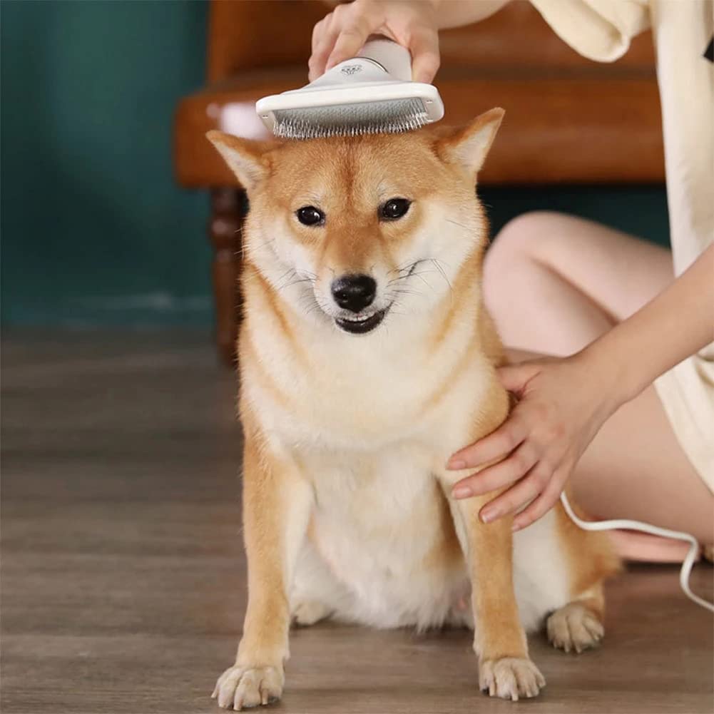 dog blow dryer

dog hair dryers

doggie hair dryer

dog hair blower dryer