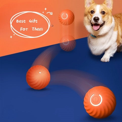 rubber ball

indestructible balls for dogs

dog balls

dog ball

ball ball dog