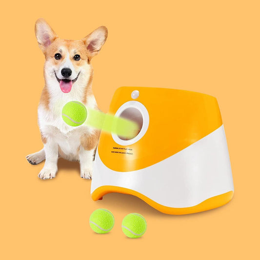 double bowl for dog

double dog bowl

dog bowl double
