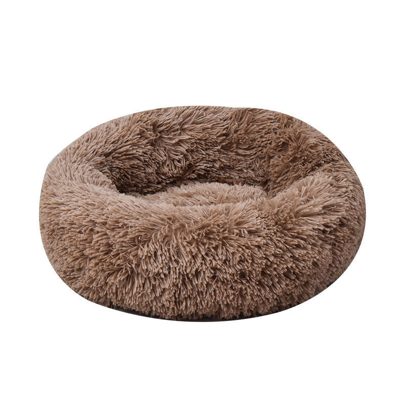 dog for dog bed, dogs bed, dog bed, 	
bed dogs