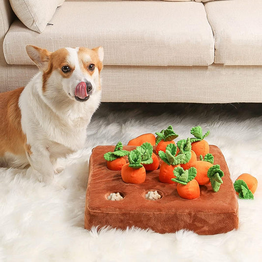 carrot dog toy

carrot farm dog toy

dog carrot farm toy

carrot farm toy

carrot farm for dogs