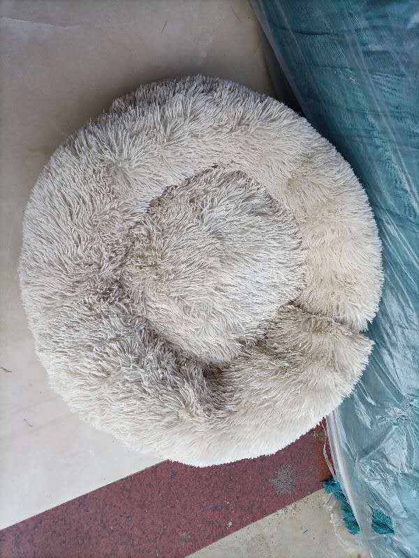 dog for dog bed, dogs bed, dog bed, 	
bed dogs