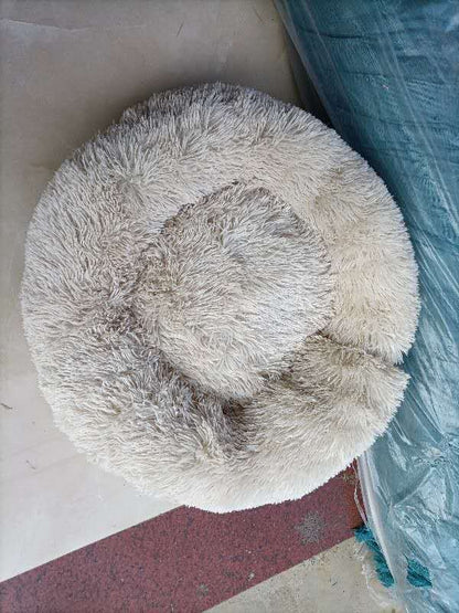 dog for dog bed, dogs bed, dog bed, 	
bed dogs