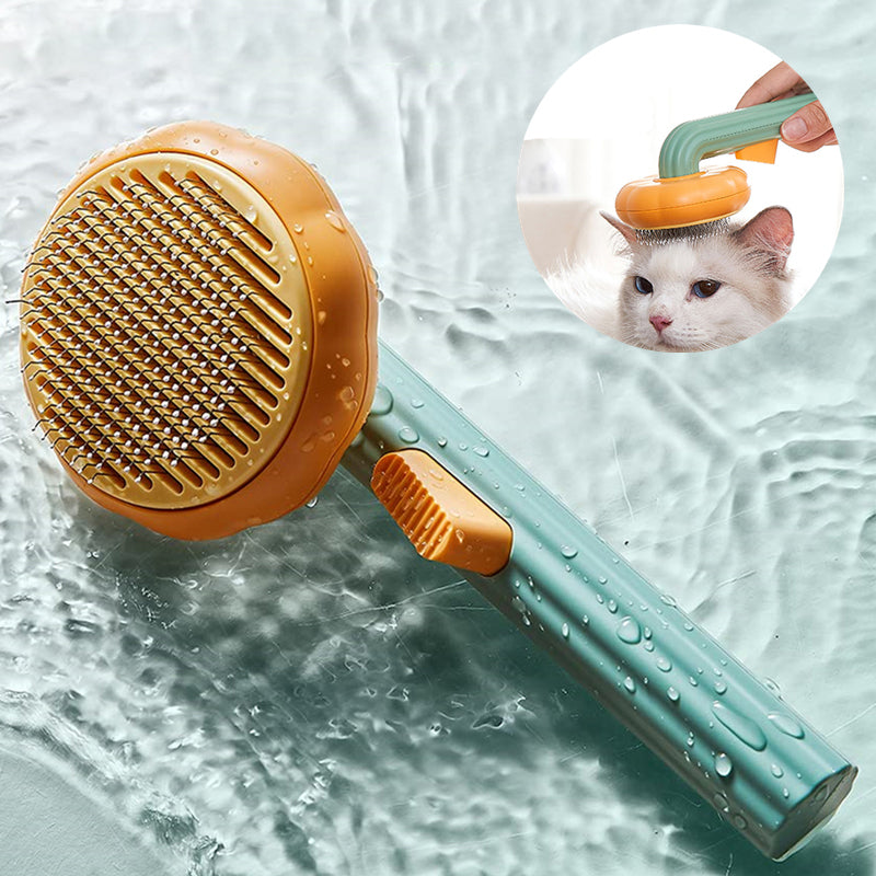 pumpkin brush for cats

cat pumpkin brush

pet pumpkin brush