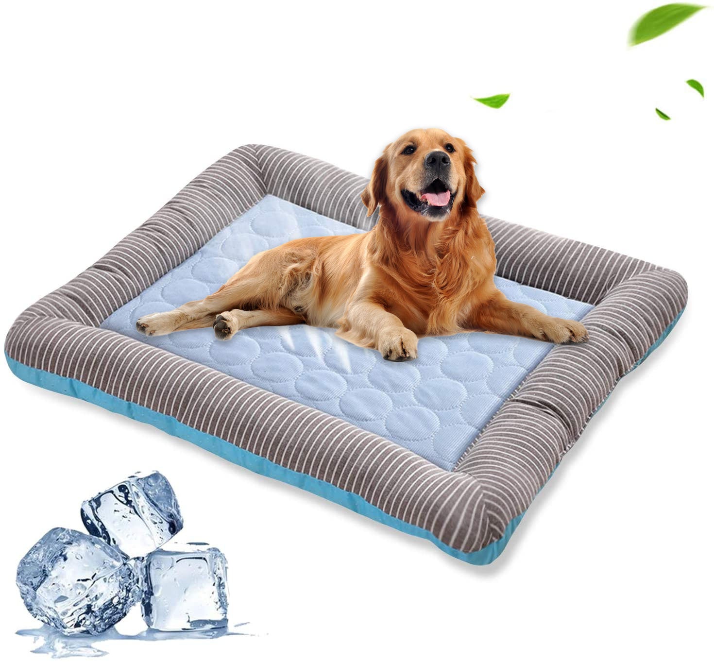 dog cool mat
cooling pad for dogs
cooling pad for dog
cooling mats for dogs
