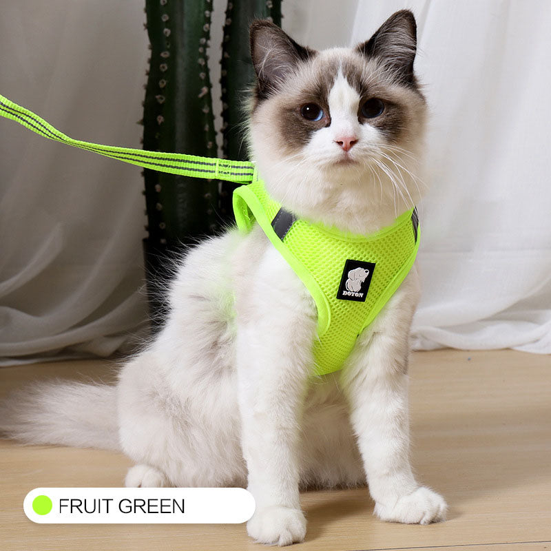 cat seatbelt