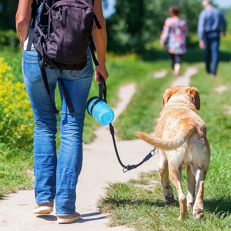 dog crate water bottle, dog water bottle, water bottle dog, dog water bottle for crate