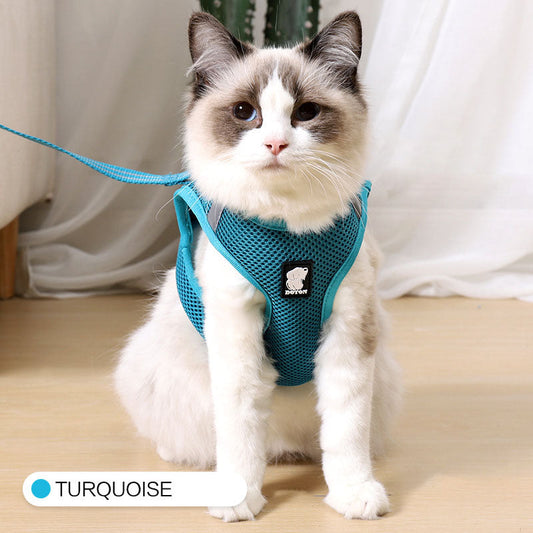 cat seatbelt