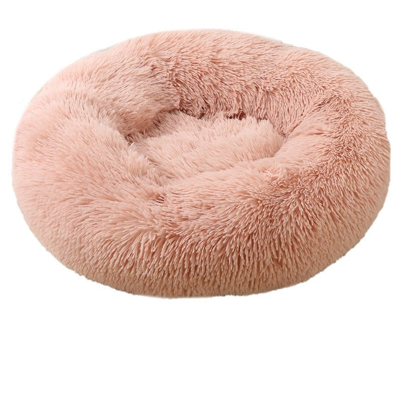 dog for dog bed, dogs bed, dog bed, 	
bed dogs