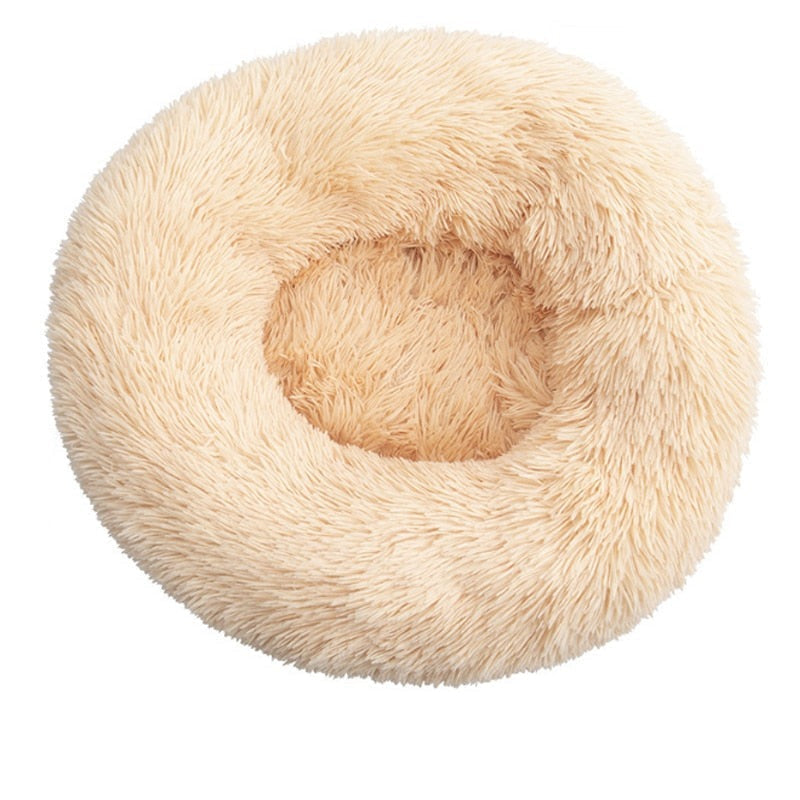 dog for dog bed, dogs bed, dog bed, 	
bed dogs