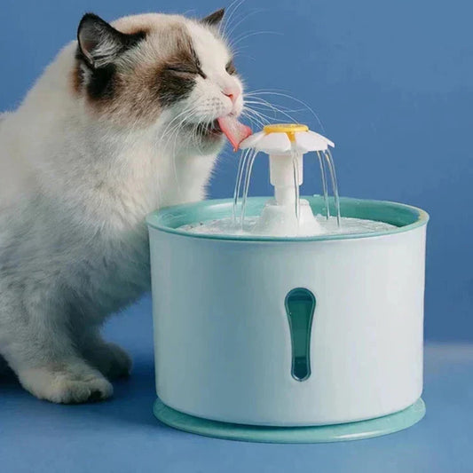 drinking fountain cat, cat drinking fountain, cats water fountain, drink fountain cat, cat water fountain
