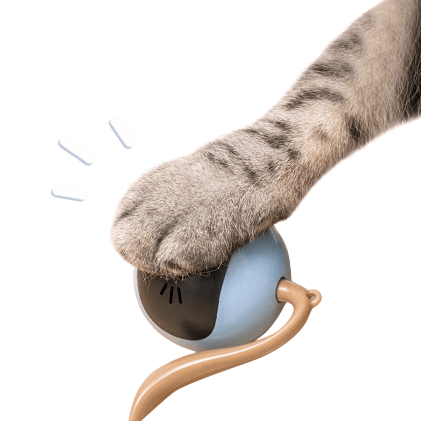 cat toy, Smart Cat To, cat play toys, cat playing toys