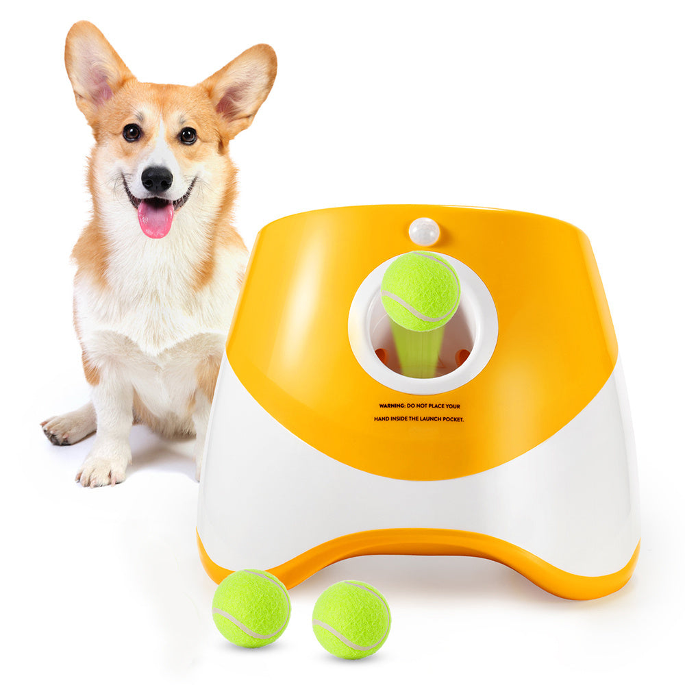 double bowl for dog

double dog bowl

dog bowl double