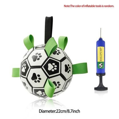 dog ball launcher, ball shooter for dogs, ball launcher for dogs, ball launcher dog, automatic ball thrower