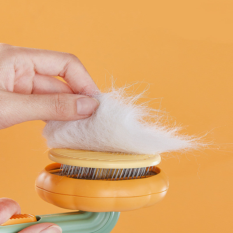 pumpkin brush for cats

cat pumpkin brush

pet pumpkin brush