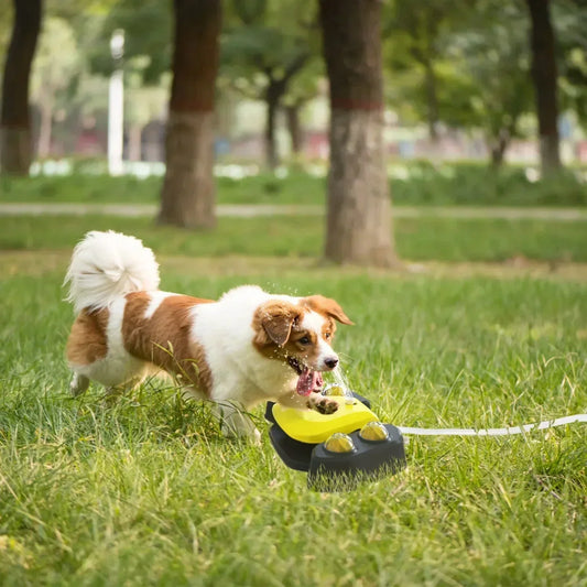 water fountain for dogs, dog water fountains, dog fountain water, dog water fountain