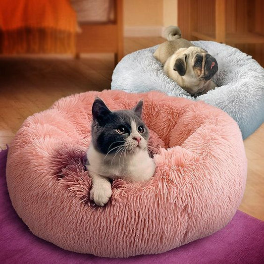 dog for dog bed, dogs bed, dog bed, 	
bed dogs