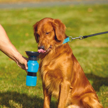 dog crate water bottle, dog water bottle, water bottle dog, dog water bottle for crate