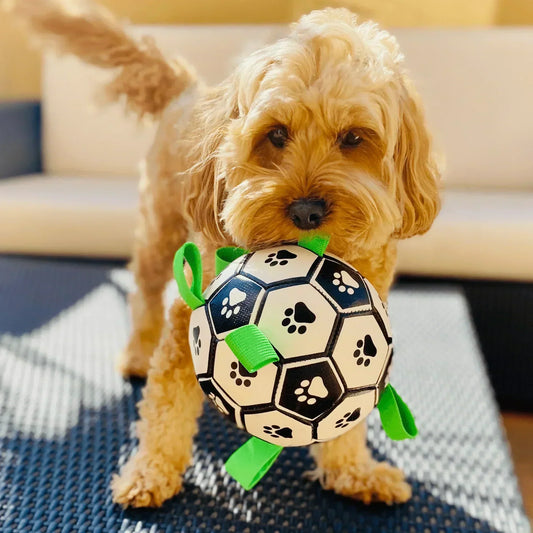 dog ball launcher, ball shooter for dogs, ball launcher for dogs, ball launcher dog, automatic ball thrower
