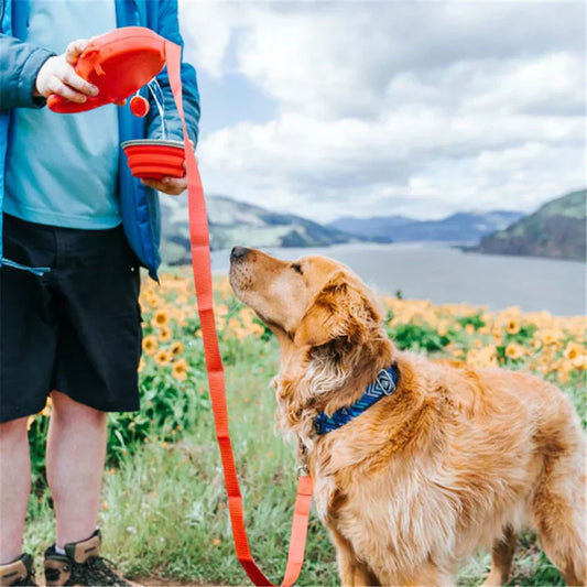 
hands-free leash for dogs

hands free dog leash

dog hands-free leash

best dog leash