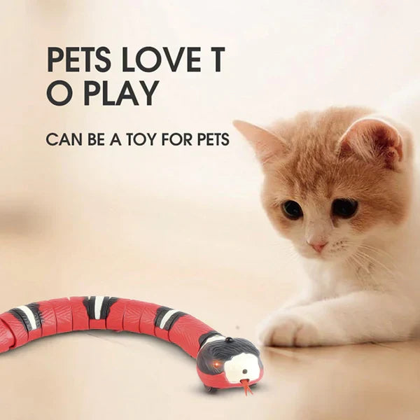 dogs bed, cat play toys, cat toys for cats,, cat toys, cat Toys Snake